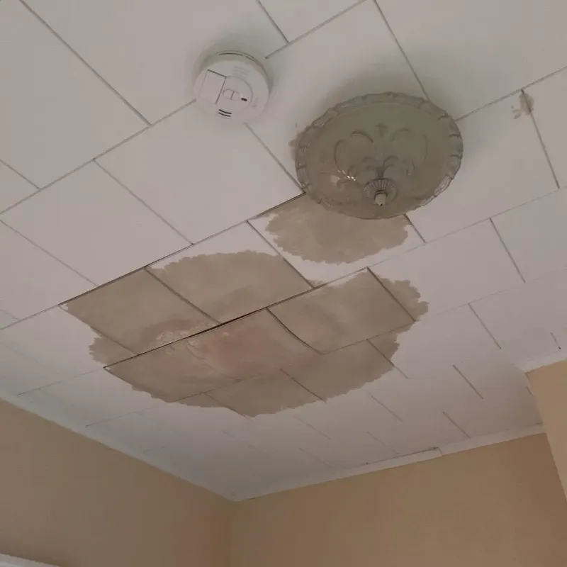 Ceiling Water Damage Repair in Brown County, TX