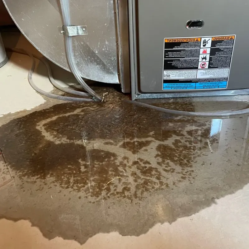Pipe Burst and Leak Restoration in Brown County, TX