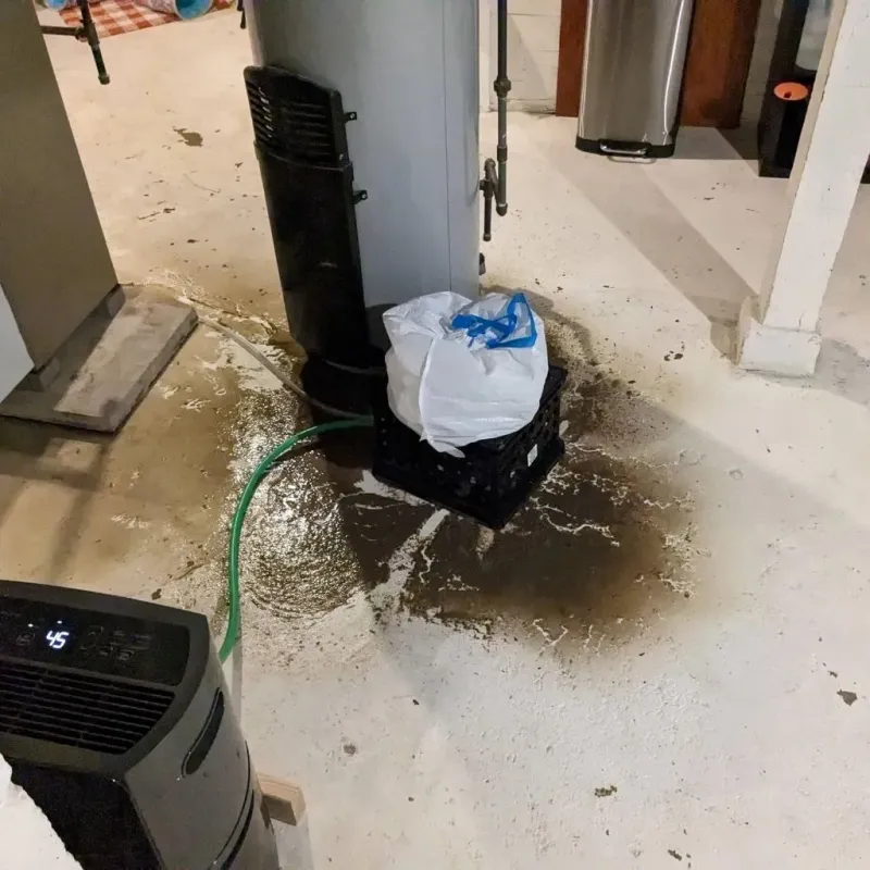 Sewage Backup Cleanup Service in Brown County, TX